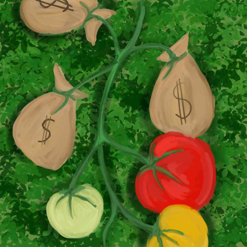 My $100 Tomato app